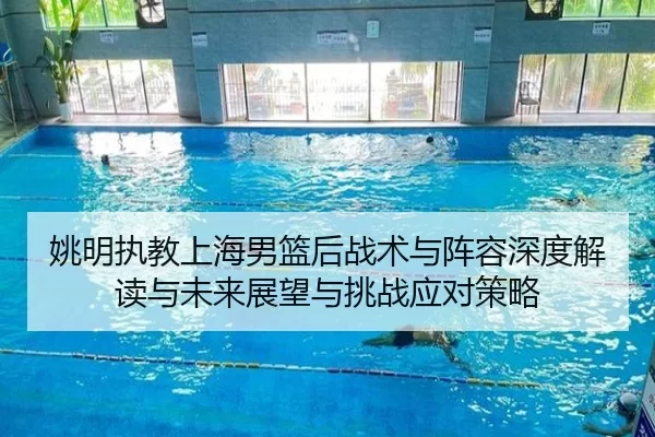 姚明执教上海男篮后战术与阵容深度解读与未来展望与挑战应对策略