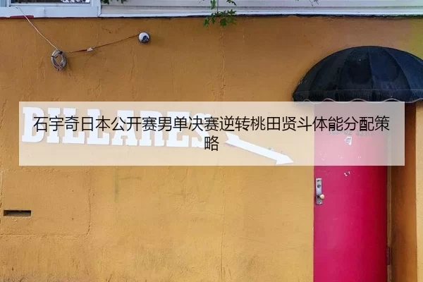 shi-yu-qi-ri-ben-gong-kai-sai-nan-dan-jue-sai-ni-zhuan-tao-tian-xian-dou-ti-neng-fen-pei-ce-lve-3-488.jpg