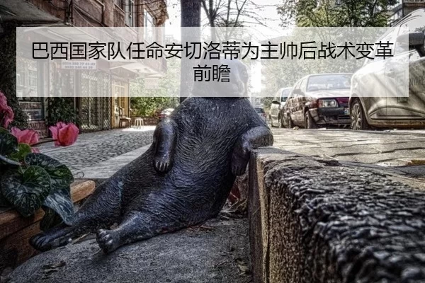 巴西国家队任命安切洛蒂为主帅后战术变革前瞻